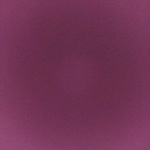 Meet your Posher, Allyssa